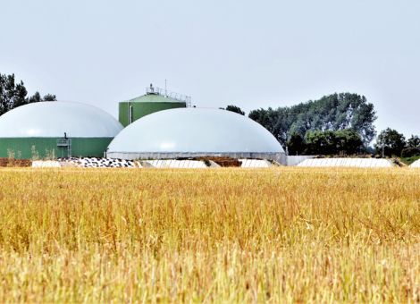 Mittendrin statt nur dabei – Landwirte und Klimaschutz