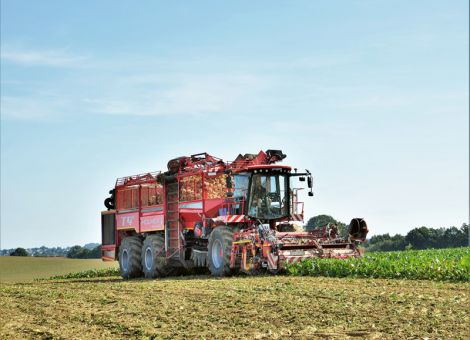 Trockenes Sommerhalbjahr sorgt für heterogene Bestände