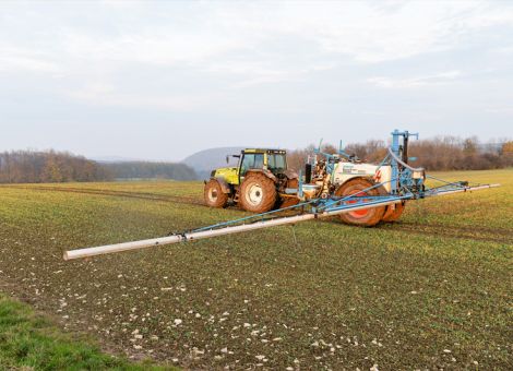 Herbizid-Maßnahmen im Herbst bieten viele Vorteile 