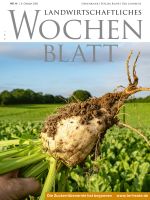 Ausgabe 41/2020 Ausgabe 41/2020