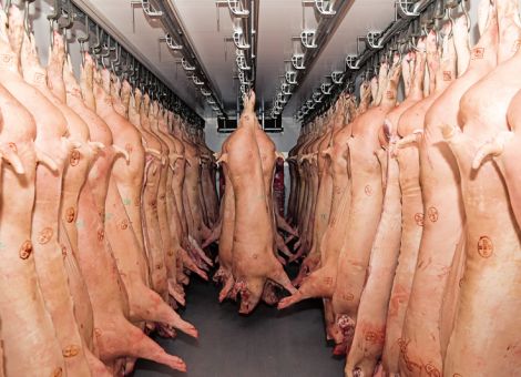 Branchengespräch Fleisch bringt keine schnelle Lösung