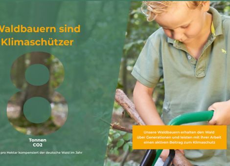 Honorierung der Klimaschutzleistung gefordert