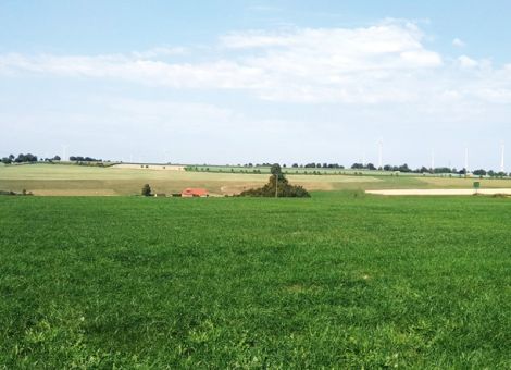 Aktuelles zu Grünland und Futterbau vor Winter