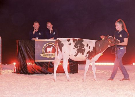 German Masters Sale wieder ein Erfolg