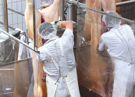 Wöchentlich fehlen 80 000 Schlachtungen 