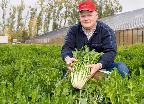 Erstmals „Vulkanspargel“ aus der Region geerntet