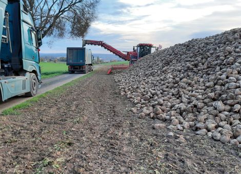 Erträge auf gutem Durchschnittsniveau