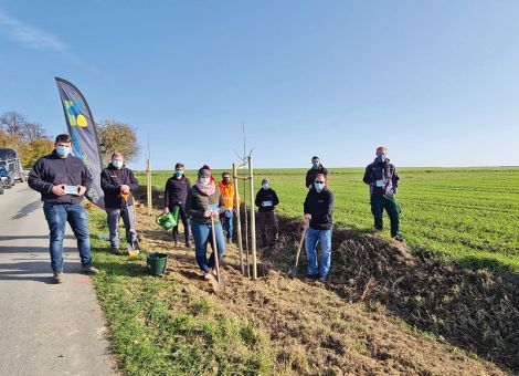 Zehn Bäume in Hofgeismar gepflanzt
