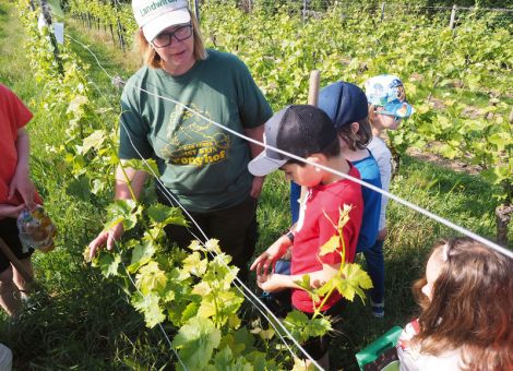 Lernen fürs Leben im Weinberg