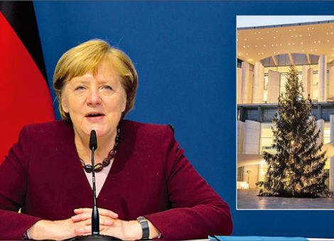 Weihnachtsbaum im Kanzleramt kommt dieses Jahr aus Hessen