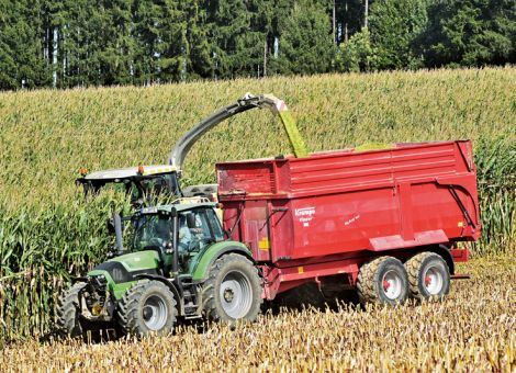 Großenteils ausreichende Futterbasis mit Silomais 