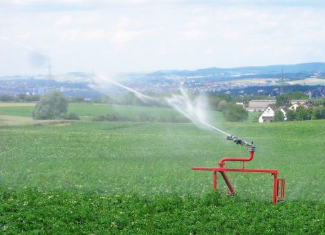 Das trockene Frühjahr hat Ertrag gekostet