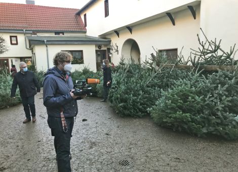 Weihnachtsbaum-Verkauf nur die Spitze der Arbeit übers Jahr