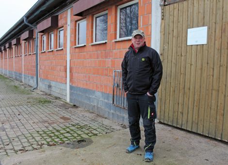 Schweinemast in Zeiten der Krise