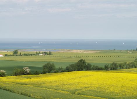 N-Düngeplaner Ackerbau-Grünland-Weinbau