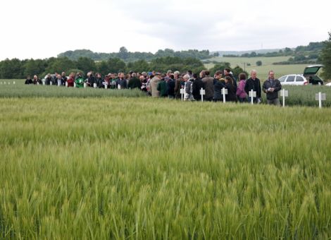 Erträge unter dem langjährigen Mittel