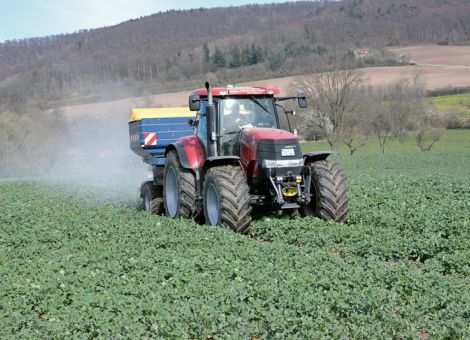 Raps düngen im Frühjahr 2021