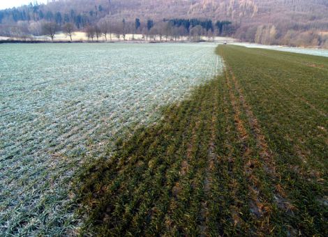 Keine Düngung auf gefrorenem Boden