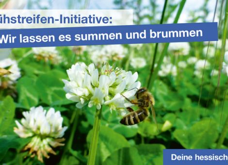 Einblicke verschaffen, Landwirtschaft näher bringen