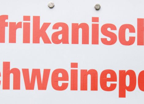 ASP-kontaminiertes Fleisch führt nicht zu Restriktionen