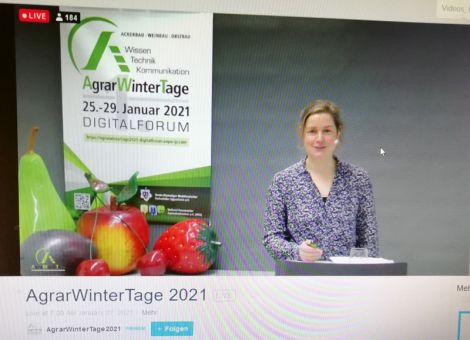 Virtueller Obstbautag Rheinland-Pfalz gut besucht