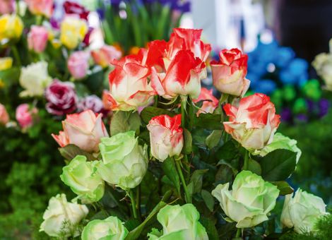 Blumen zum Valentinstag