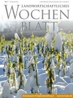 Ausgabe 7/2021 Ausgabe 7/2021