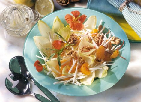 Chicorée-Sellerie-Salat