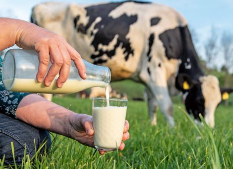 Schmal hofft auf Imagewandel für die Milch