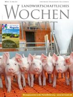 Ausgabe 12/2021 Ausgabe 12/2021