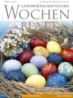 Ausgabe 13/2021 Ausgabe 13/2021