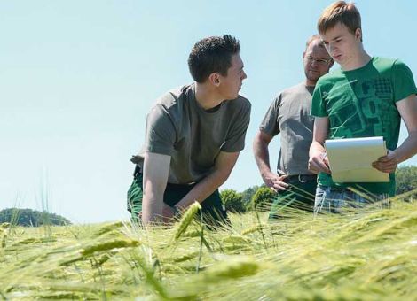 Junglandwirteförderung ausbauen