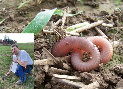 April, April mit dem Riesenregenwurm