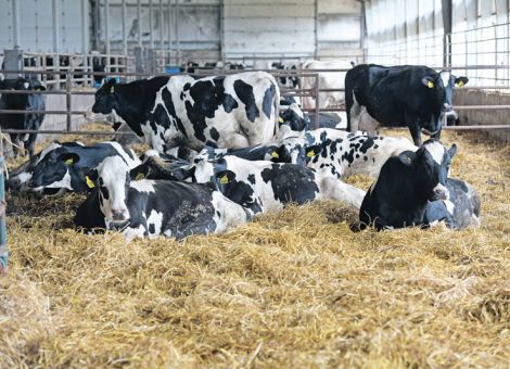 Kürzere Liegezeiten bei hohen Temperaturen 
