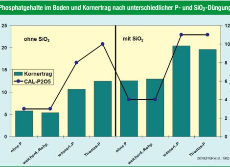 Silizium: Vergessenes Element in der Pflanzenernährung
