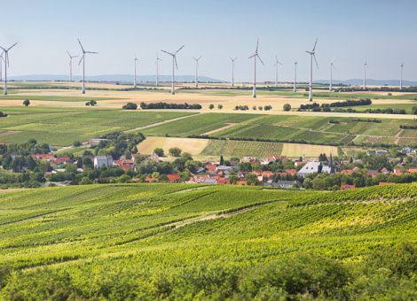 Landwirtschaft und Weinbau sind Wirtschaftsfaktor 