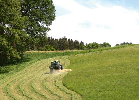 In der Südpfalz wurde schon gemäht