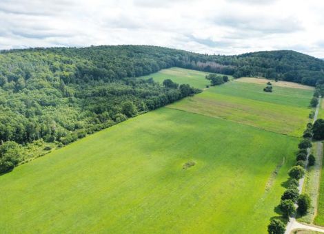 Wertschöpfung, Klimaschutz und Biodiversität verbinden