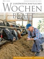 Ausgabe 19/2021 Ausgabe 19/2021