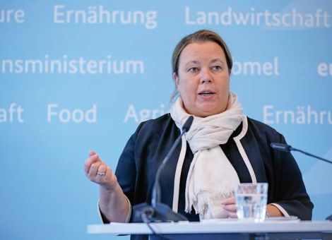 CDU bekennt sich zum Borchert-Konzept