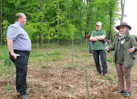 Forstpolitik und praktischer Waldbau in Bellersheim