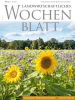 Ausgabe 22/2021 Ausgabe 22/2021