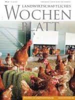 Ausgabe 23/2021 Ausgabe 23/2021