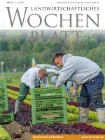 Ausgabe 24/2021 Ausgabe 24/2021