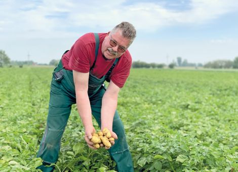 Das kalte Frühjahr forderte die „Pfälzer Grumbeere“-Betriebe