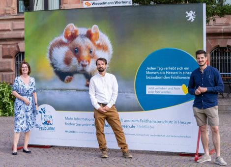 Getreidestreifen für die Feldhamster