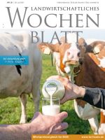 Ausgabe 30/2021 Ausgabe 30/2021