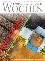 Ausgabe 31/2021 Ausgabe 31/2021