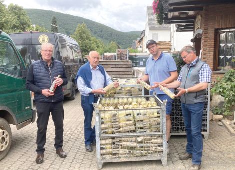 Kommission soll Schäden im Ahrtal konkret erfassen