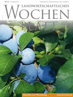 Ausgabe 33/2021 Ausgabe 33/2021